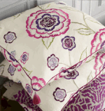 Manuel Canovas