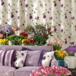Nobilis New Collection