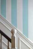 Broad Stripe