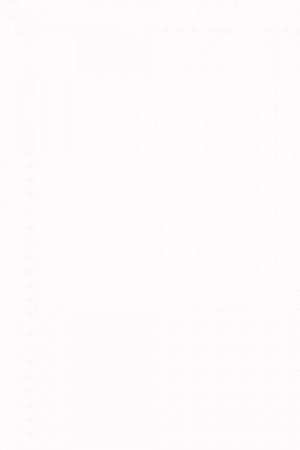 FARROW AND BALL ALL WHITE NO. 2005 PAINT