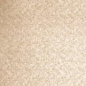Rubelli Donghia Textiles 2007 Looks Like Etching Fabric