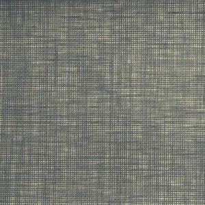 Rubelli Donghia Textiles 2007 Metallic Raffia Fabric