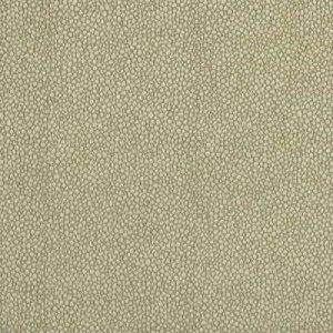 GP & J BAKER SHELWICK FABRIC