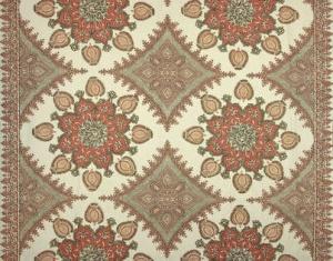 BRAQUENIE INDORE FABRIC