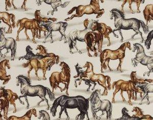 PIERRE FREY HARAS FABRIC