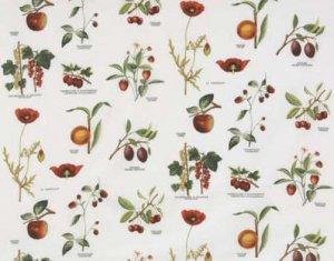 PIERRE FREY VERGER FABRIC