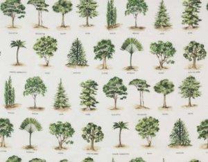 PIERRE FREY ARBORETUM FABRIC