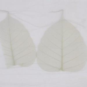 NOBILIS LEAF FABRIC