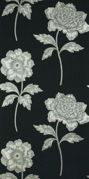SANDERSON ANEMONE WALLPAPER