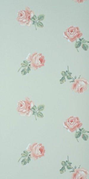 SANDERSON ANNABELLE WALLPAPER