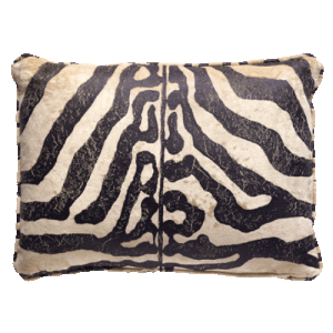 Arazova Cushion