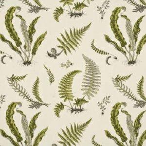 GP & J BAKER FERNS COTTON FABRIC