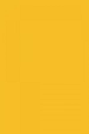 FARROW AND BALL BABOUCHE NO. 233 PAINT