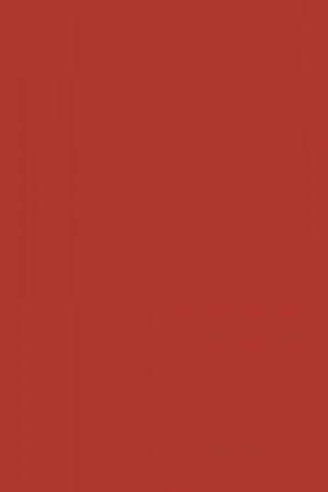 FARROW AND BALL BLAZER NO. 212 PAINT