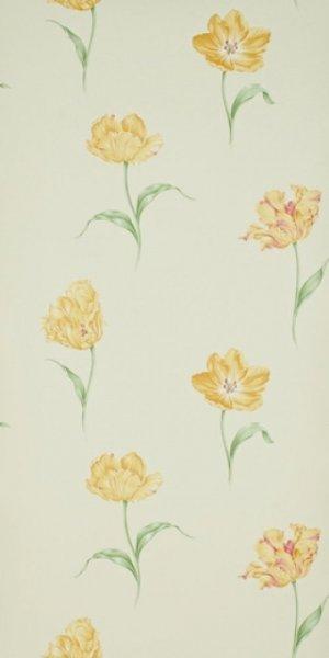 SANDERSON BLOOM WALLPAPER