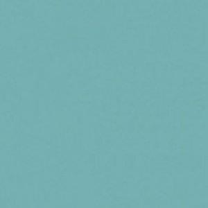 Paint and Paper Library Blue Bird Paint