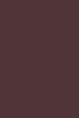 FARROW AND BALL BRINJAL NO. 222 PAINT