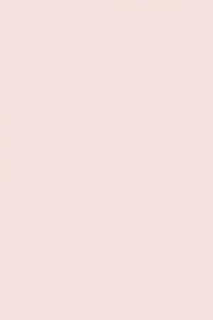 FARROW AND BALL CALAMINE NO. 230 PAINT