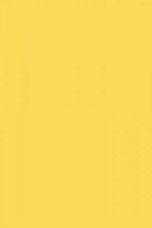FARROW AND BALL CITRON NO. 74 PAINT