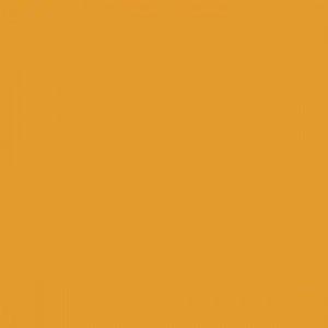 Paint and Paper Library Cloudberry Paint