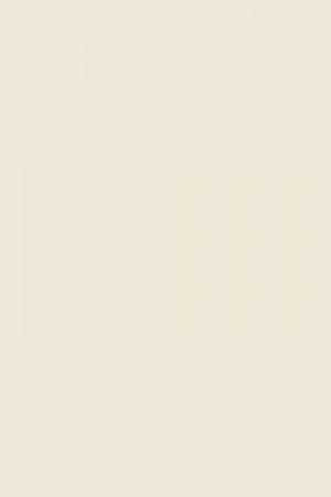 FARROW AND BALL CLUNCH NO. 2010 PAINT