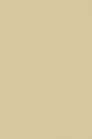 FARROW AND BALL CORD NO. 16 PAINT