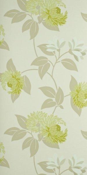 SANDERSON POMPOM WALLPAPER