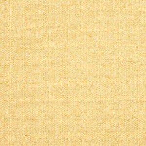 THREADS ODE FABRIC