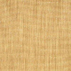 THREADS AVA FABRIC