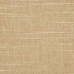 THREADS RUSTIQUE FABRIC