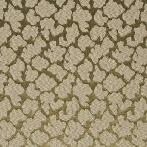THREADS NIMBUS FABRIC