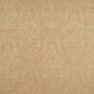 THREADS ALLURE FABRIC