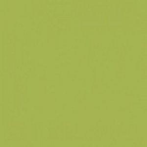 Paint and Paper Library Euphorbia Paint