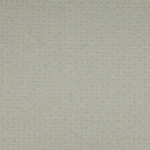 COLEFAX AND FOWLER HOLBROOK FABRIC