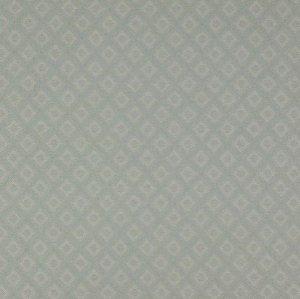 COLEFAX AND FOWLER FORDHAM FABRIC