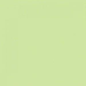 Paint and Paper Library Fennel Paint