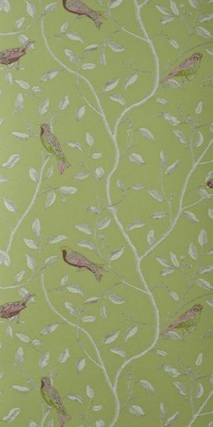 SANDERSON FINCHES WALLPAPER