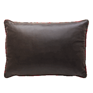 Gecko Choc/Mendoza Cushion