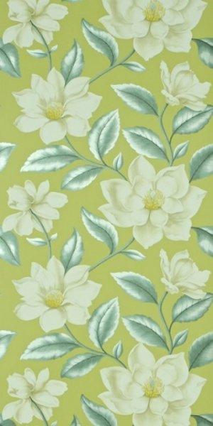 SANDERSON GRANDIFLORA WALLPAPER