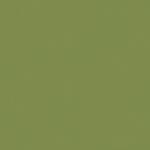 Paint and Paper Library Greenback Paint