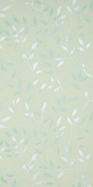 SANDERSON GREENWOOD WALLPAPER