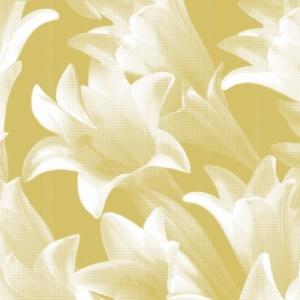 Harlequin Identity Wallpapers Eternal Wallpaper