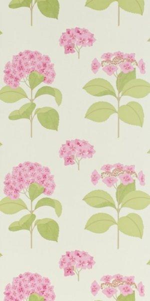 SANDERSON LACECAP WALLPAPER