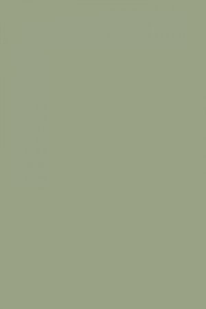 FARROW AND BALL LICHEN NO. 19 PAINT