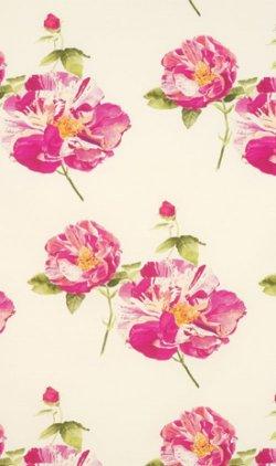 LORCA BELLE DE MAI FABRIC
