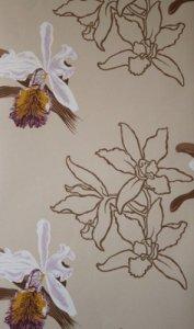 Lorca Cattleya Wallpaper
