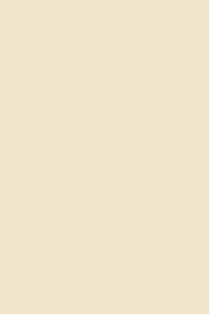 FARROW AND BALL MATCHSTICK NO. 2013 PAINT