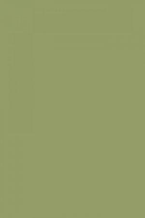 FARROW AND BALL OLIVE NO. 13 PAINT