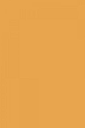 FARROW AND BALL ORANGERY NO. 70 PAINT