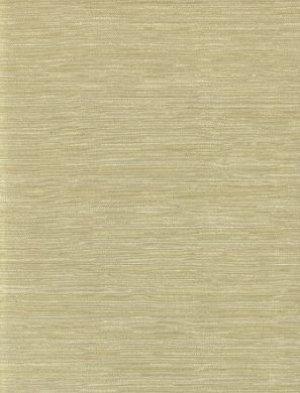 ZOFFANY TUSSAH SILK10 WALLPAPER